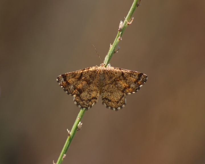 ciclabile Arluno-Boffalora